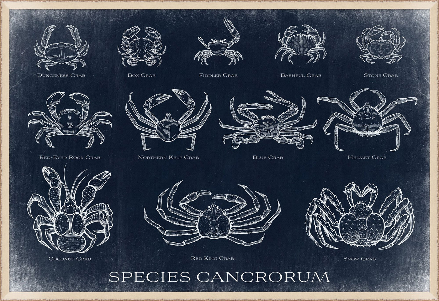 Crab Chart