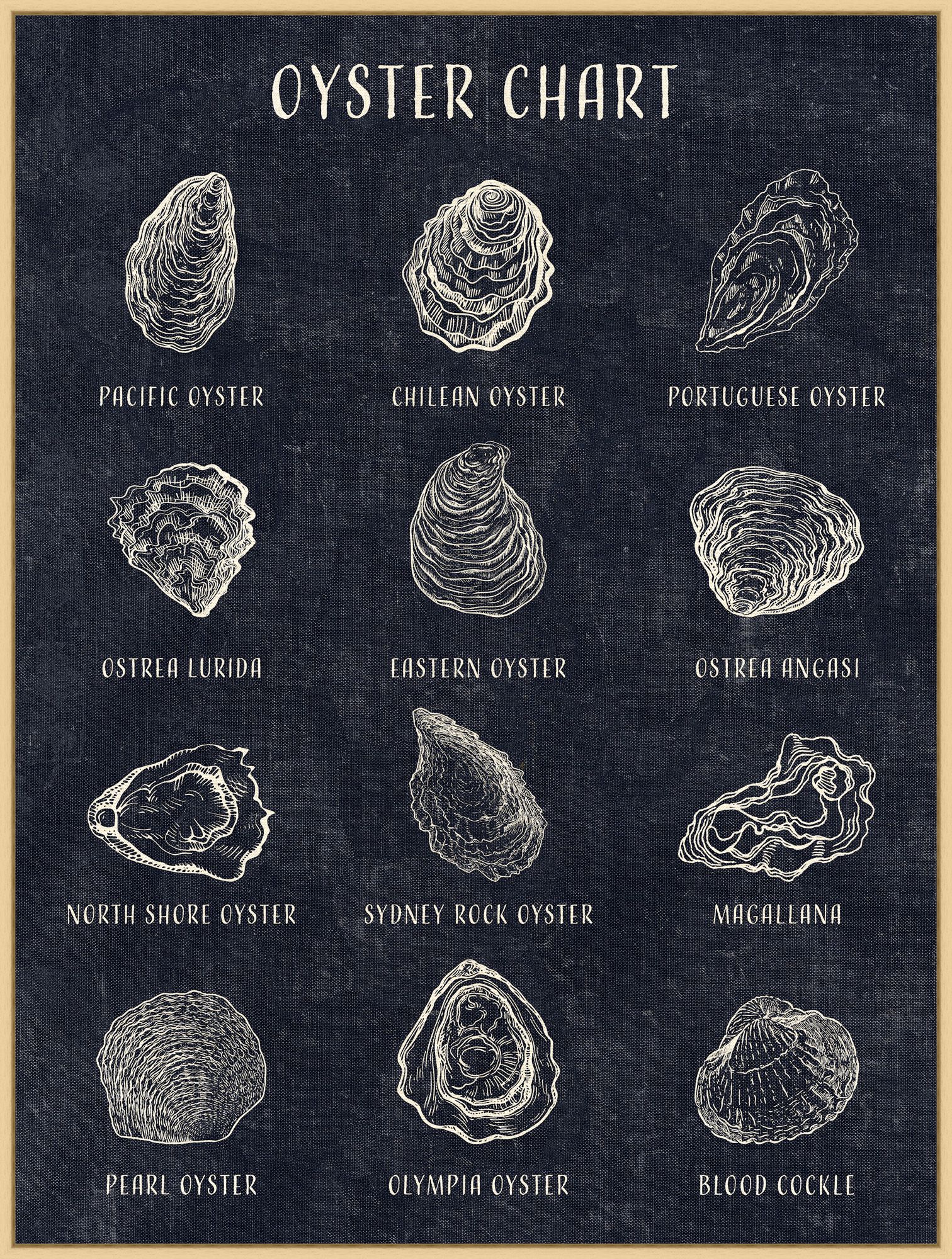 Oyster Chart Coastal Artwork Coastal Bleu