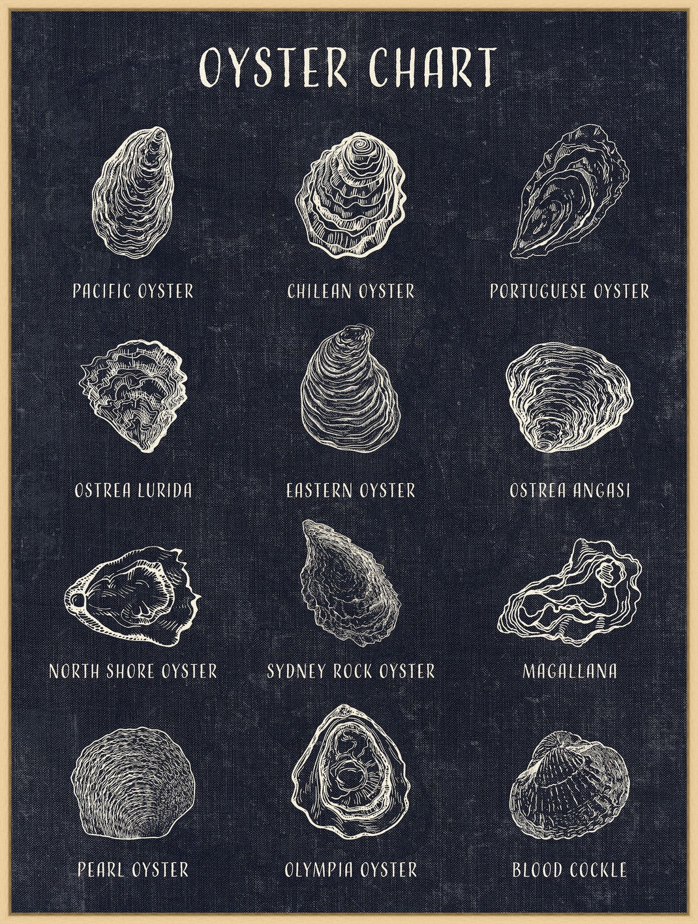 Oyster Chart