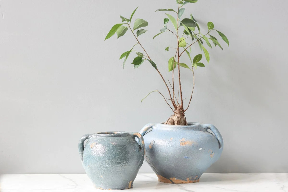 Found Confit Pot & Amphora Set - Shades of Blue