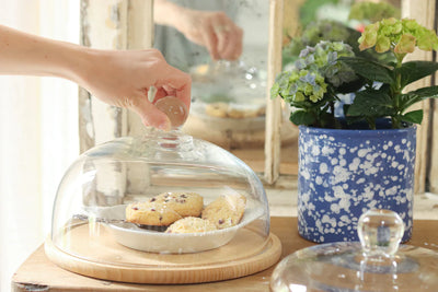 Glass Dome with Wood Base, Medium