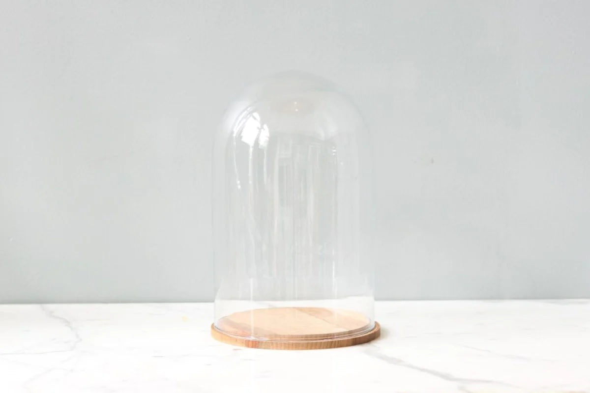 Curiosity Bell Jar with Wood Base