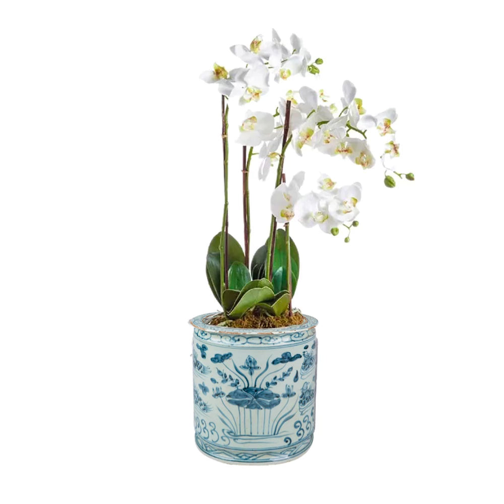 blue orchids and white lilies Blue Lily Pad Orchid Pot Set – Coastal Pots & Planters – Coastal Bleu