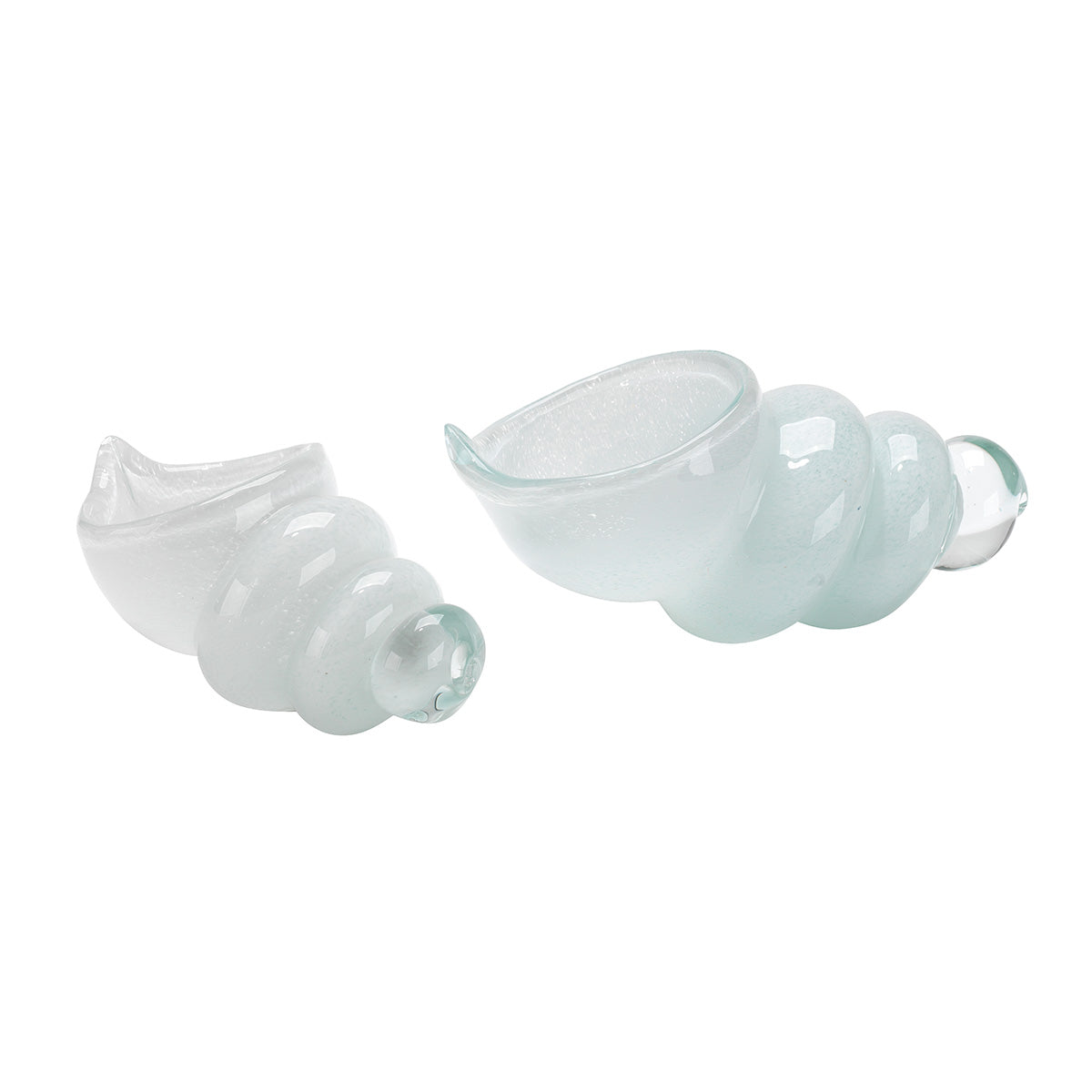 White Ariel Shells, Set of 2