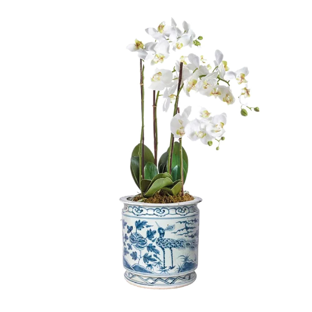 Blue Pheasant Orchid Pot Set