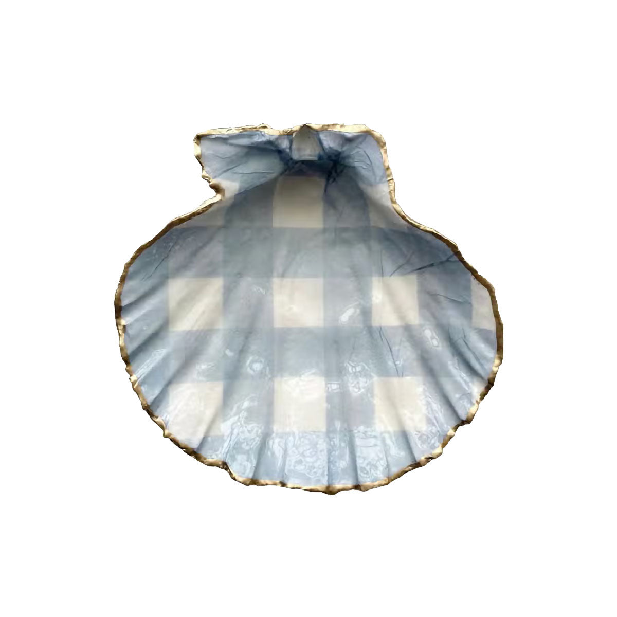 Lion Paw Shell - Coastal Blue Gingham