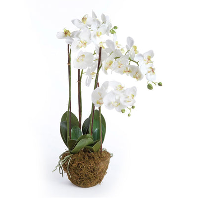 White Faux Orchid Drop-in - 30"