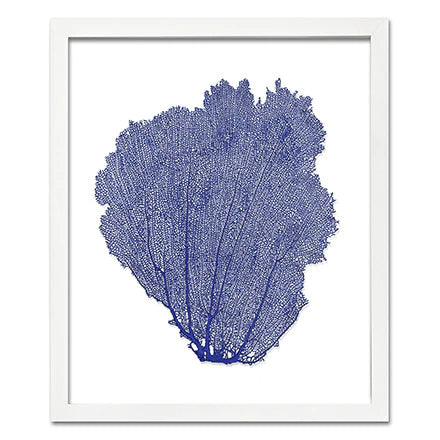 Framed Sea Fan - Navy