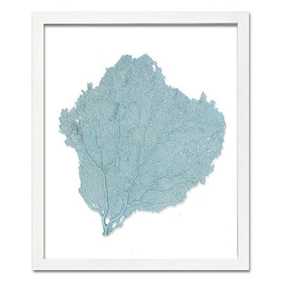 Framed Sea Fan - Teal